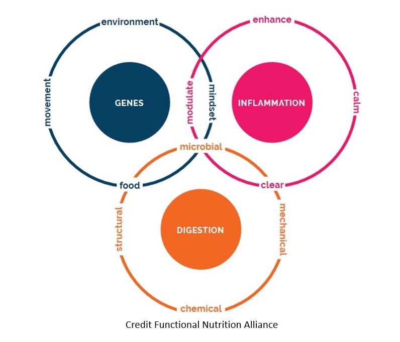 Functional Nutrition Consultation - Forward and Up Wellness