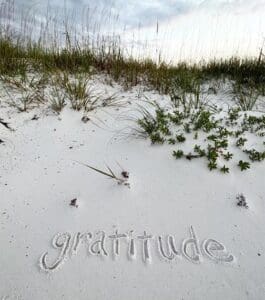 beach with sunrise showing through some tall grass, the word gratitude is written in the sand